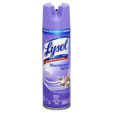 LYSOL® Disinfectant Spray, Early Morning Breeze Scent 19 oz., $16.00
